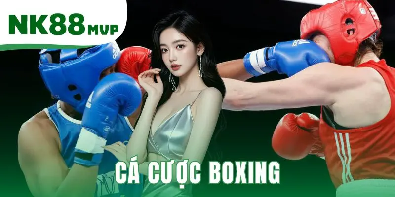 Cá cược boxing
