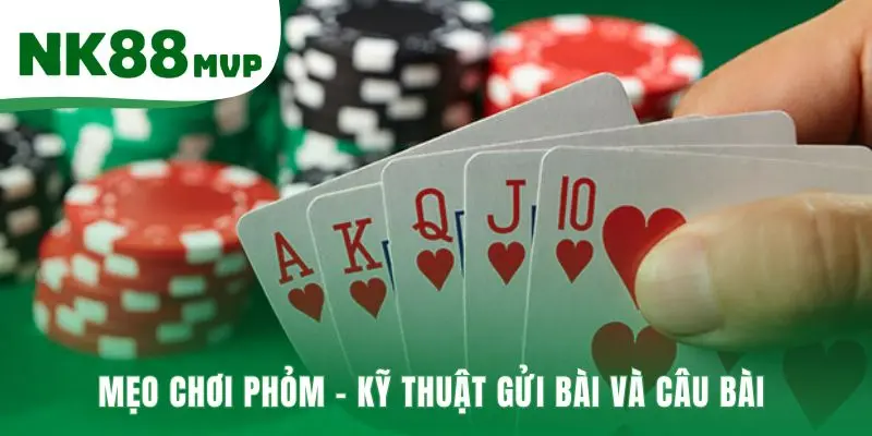Kỹ thuật câu bài và đoán bài đối phương rất quan trọng